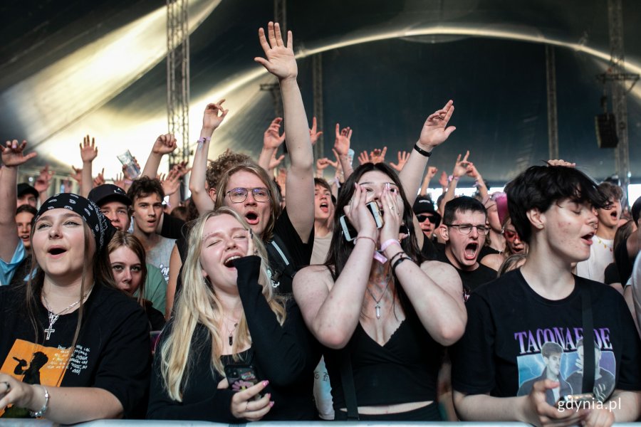 Uczestnicy festiwalu bawiący się przed jedną ze scen // fot. Karol Stańczak