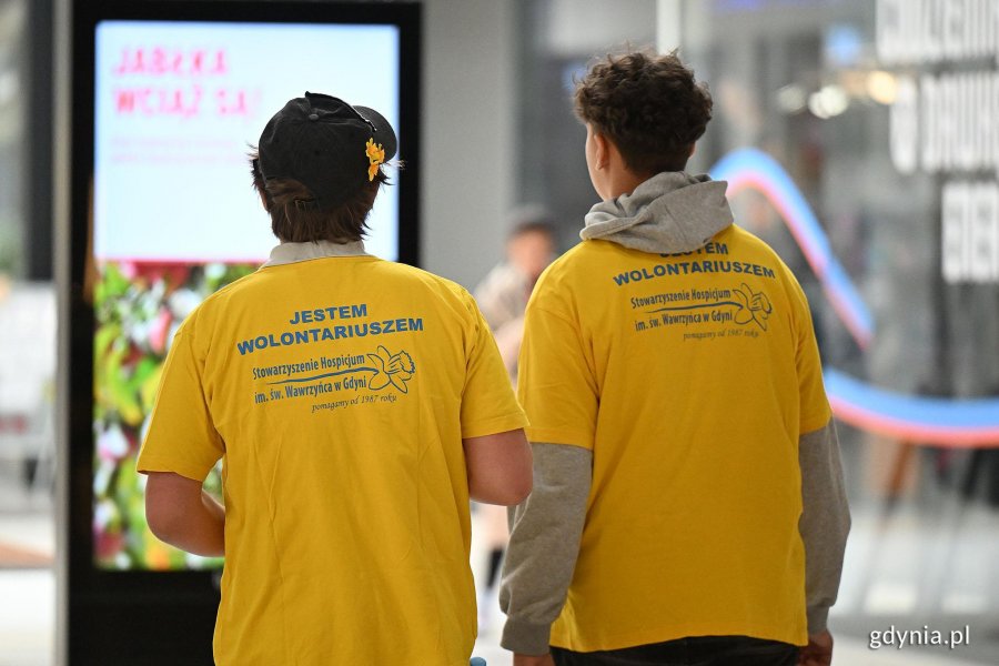 Dwie osoby w ż&oacute;łtych koszulkach z napisam wolontariusz