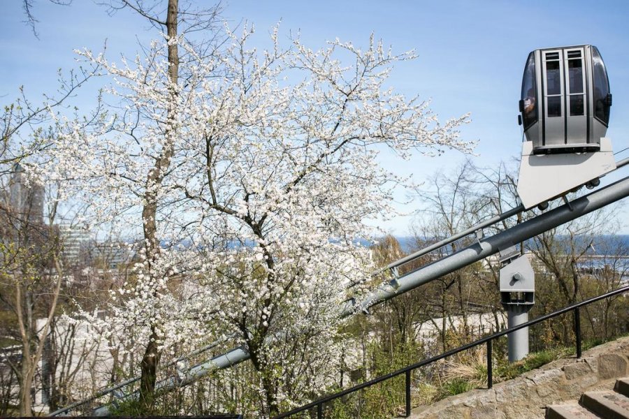 Wiosna #wGdyni w obiektywnie // fot. Karol Stańczak