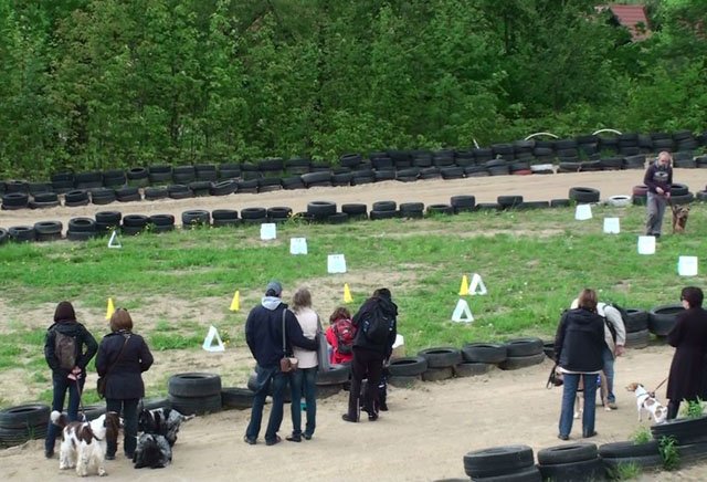 Psie fikołki - festyn edukacyjny "Pies w wielkim mieście" 13.05.2012
