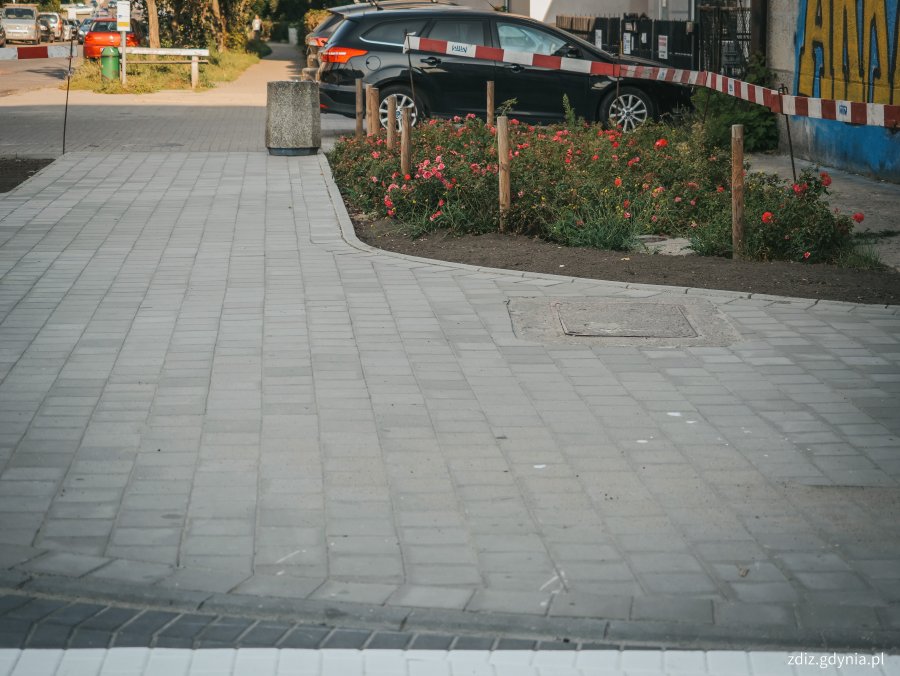 na pierwszym planie widoczny chodnik z kostki, w tle zieleń