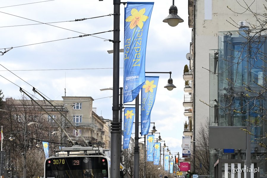 Niebieski banery ze zdjęciem żonkilka i żółtym napisem: „Pola Nadziei” powiewają na ul. Świętojańskiej. W tle widać budynki oraz trolejbus linii 29 // fot. Michał Puszczewicz