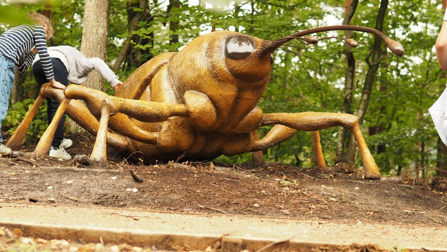 Leśny Ogród Botaniczny Marszewo - Szlak Alicji