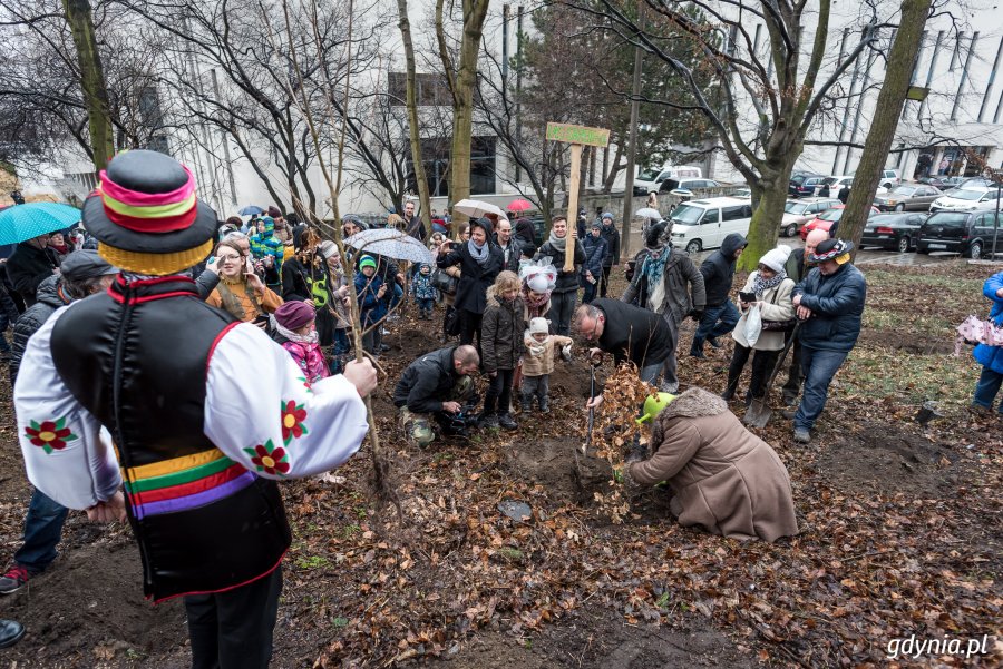 Sadzenie drzew na Kamiennej Górze 