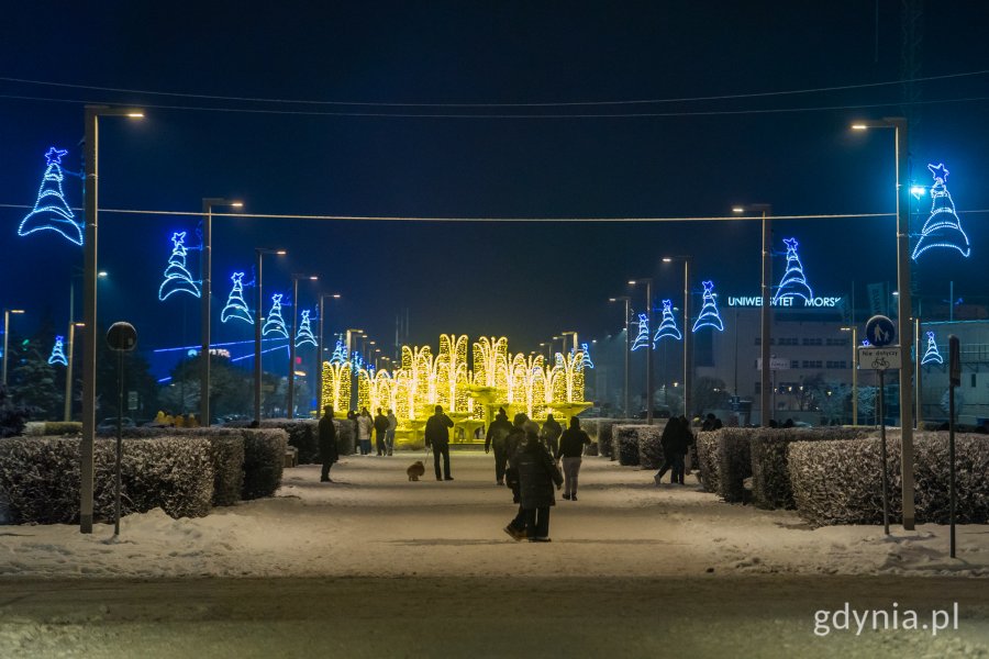 Gdyńskie iluminacje (fot. Paweł Budziński)