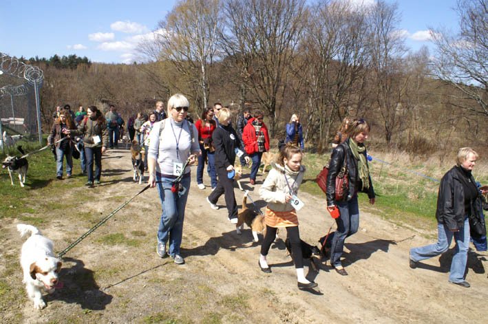 Rodzinny spacer mieszkańców z psami w ramach II festynu Edukacyjnego na Kolibkach