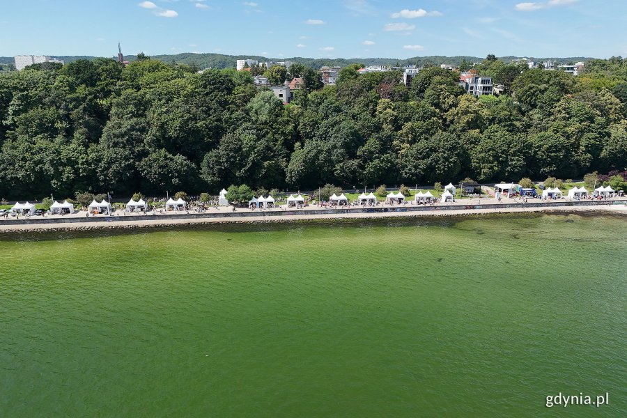 Trwa Plener Literacki w Gdyni (fot. Michał Puszczewicz)