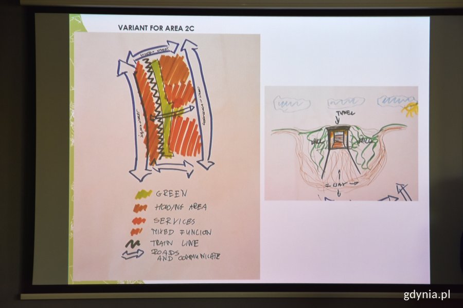 Specjaliści przedstawili koncepcje zazieleniania Gdyni // fot. Justyna Bronk