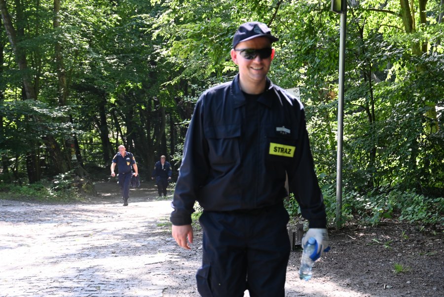 ludzie chodzą po lesie