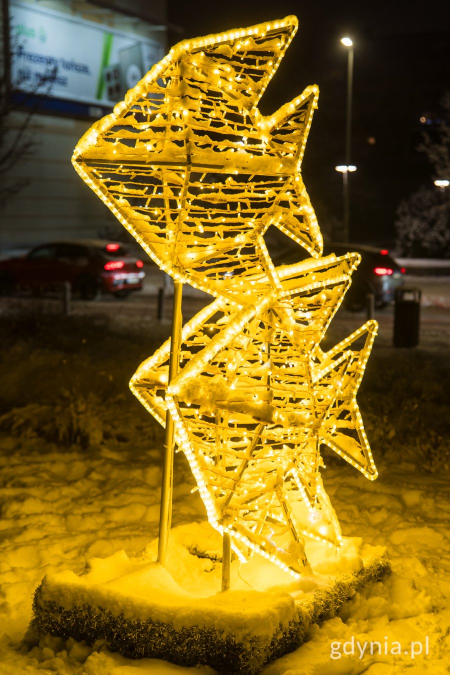 Świąteczne iluminacje (fot. Paweł Budziński)