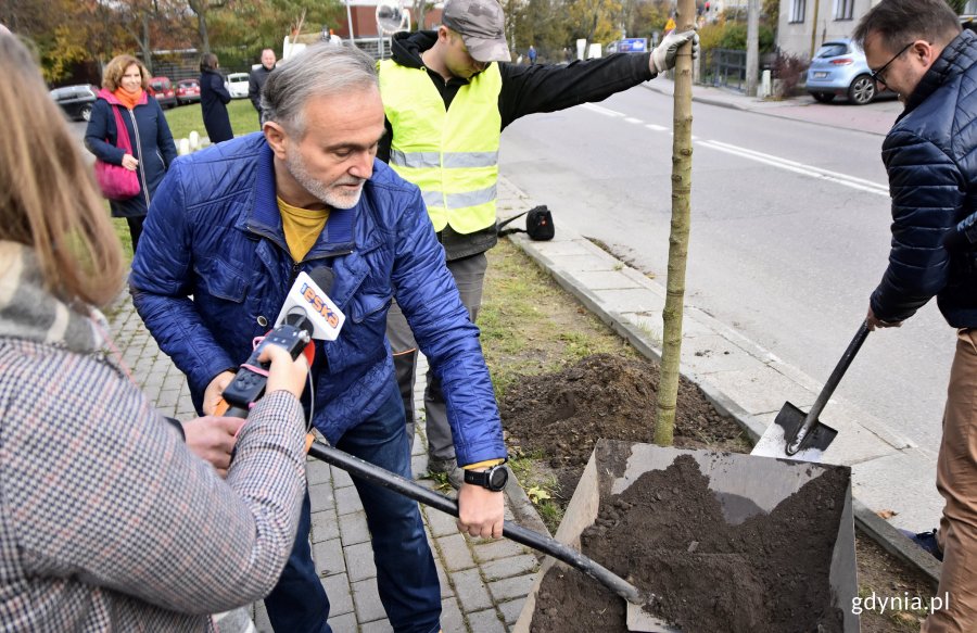 Symboliczne sadzenie nowych drzew przy ulicy Legionów, fot. Kamil Złoch