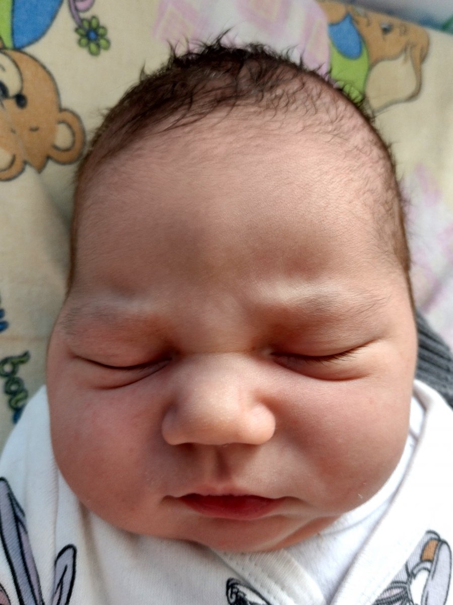 Bruno, 59 cm, 4530 g, 11.04.24