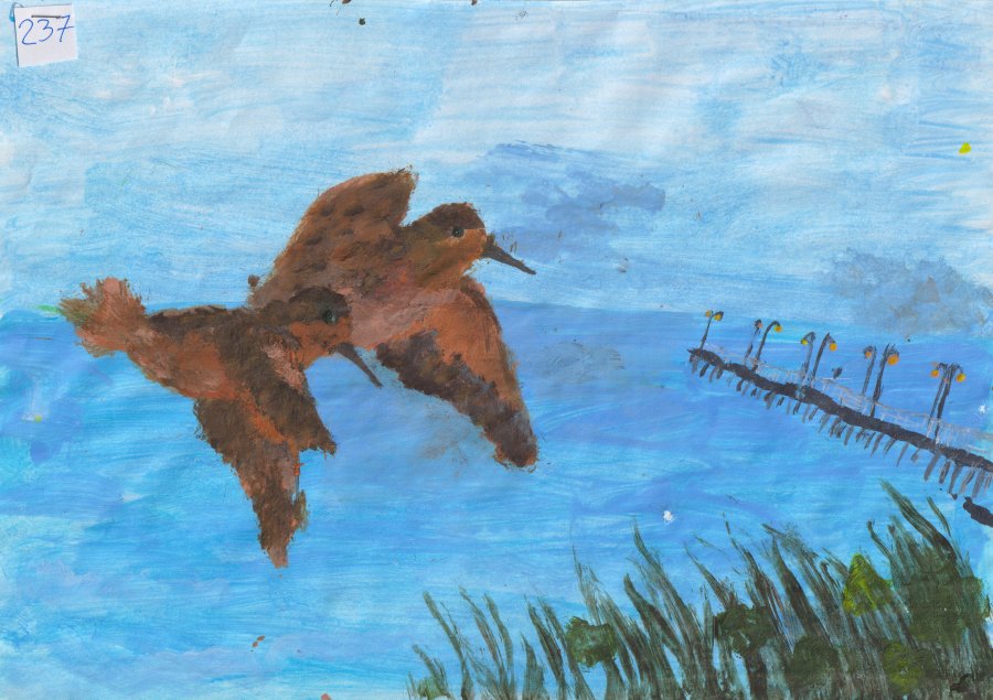 Praca konkursowa przedstawiająca dwa biegusy rdzawe lecące w stronę molo.