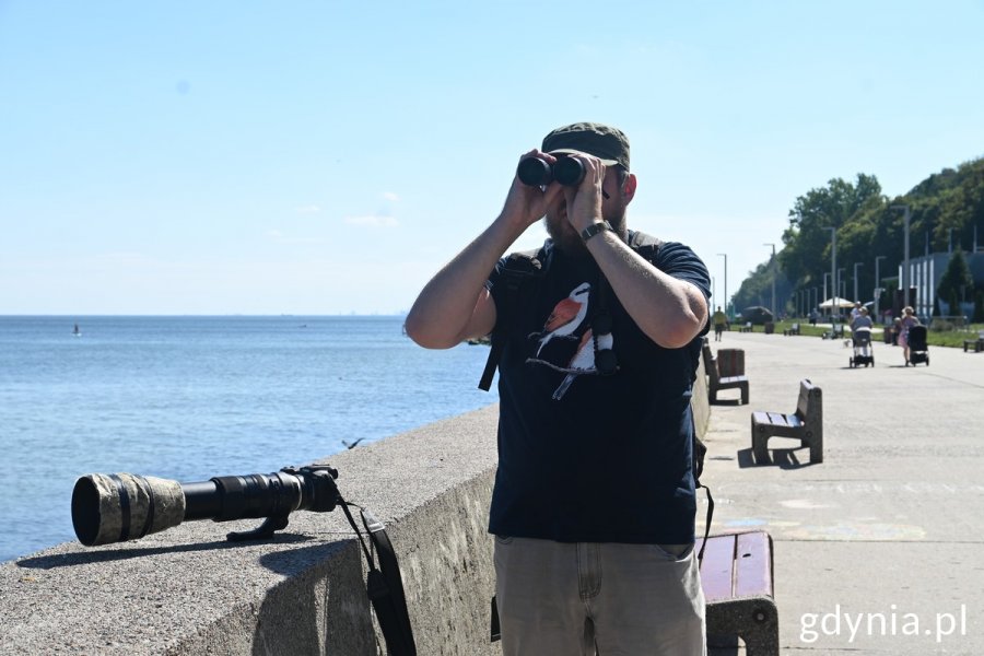 Ornitolog Jakub Typiak obserwuje przez lornetkę ptaki na bulwarze Nadmorskim