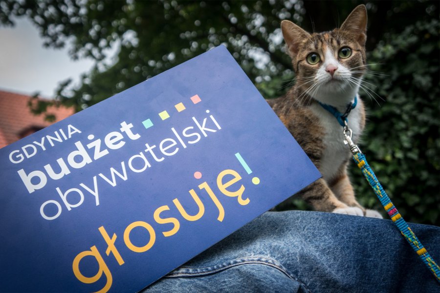 Głosuj w Budżecie Obywatelskim gdziekolwiek jesteś fot. Aleksander Trafas