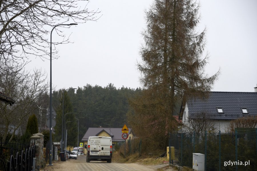 Dzięki inicjatywie Rady Dzielnicy Chwarzno-Wiczlino udało się zakończyć trzecią inwestycję związaną z budową nowoczesnego oświetlenia // fot. Sławomir Okoń