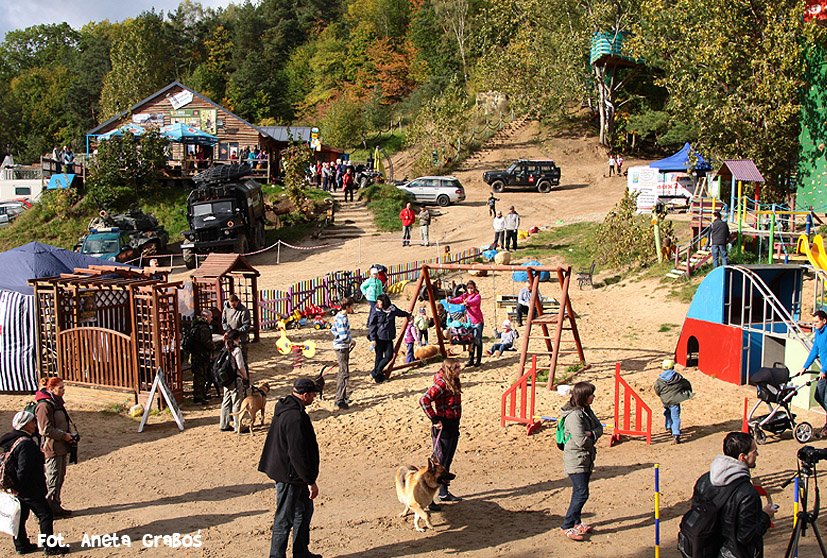 Psie fikołki - festyn edukacyjny "Pies w wielkim mieście" 7.10.2012