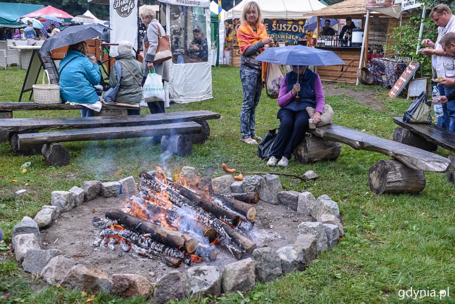 Piknik i targi „Dary Ziemi” w Gdyni // fot. Przemek Świderski