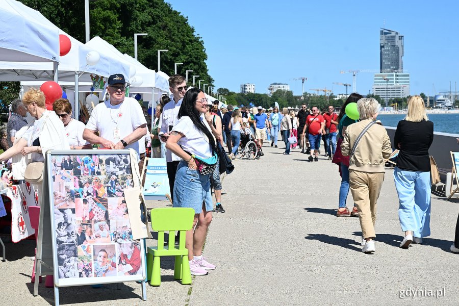Stoiska gdyńskich organizacji pozarządowych ustawione wzdłuż bulwaru Nadmorskiego w ramach Gdyńskiego Pikniku Pozarządowego