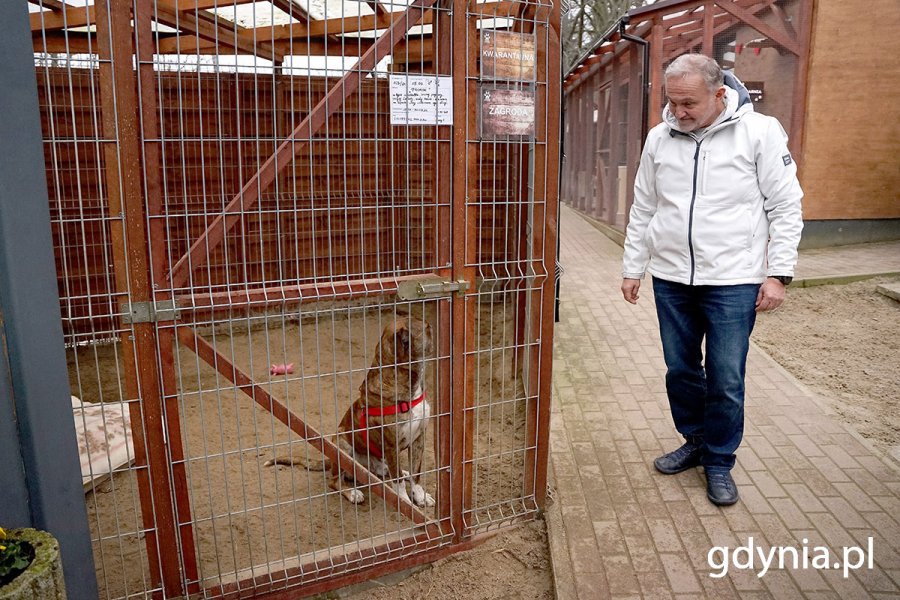 Prezydent Gdyni Wojciech Szczurek przyglądający się jednemu z podopiecznych „Ciapkowa”
