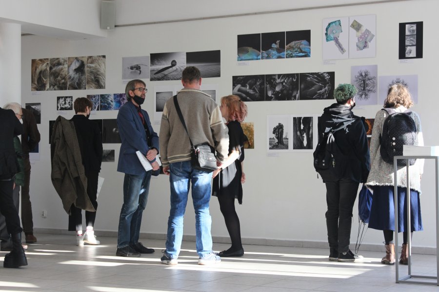 Wystawa „Bio-forma" w Galerii Debiut, fot. Karolina Staszak