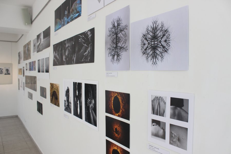 Wystawa „Bio-forma" w Galerii Debiut, fot. Ewa Manuszewska