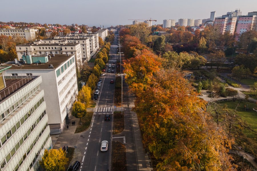 Park Centralny w centrum Gdyni // fot. Karol Stańczak 