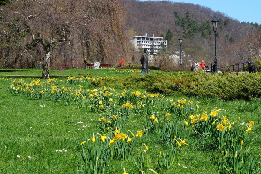 Promenada Marysieńki        fot. Biuro Ogrodnika Miasta