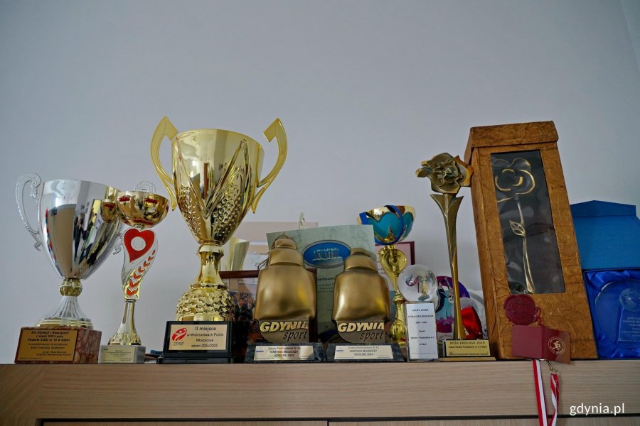 Puchary i nagrody otrzymane przez szkołę i jej uczni&oacute;w