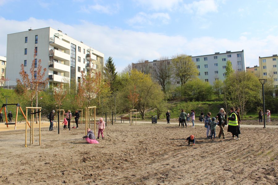 Sianie łąki kwietnej na witomińskiej polanie // fot. materiały prasowe LIS