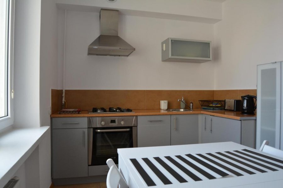 Apartament Joanna, widok na kuchnię