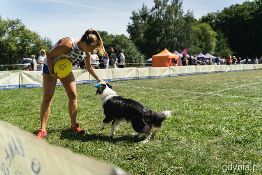 „Latające psy” w parku w Kolibkach - dzień pierwszy (sobota), fot. Kamil Złoch