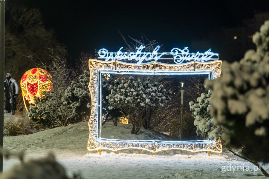 Iluminacje świetlne w Parku Centralnym (fot. Paweł Budziński)