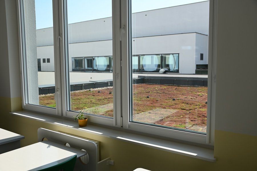 Widok z okna na dach niższej kondygnacji pokryty roślinnością