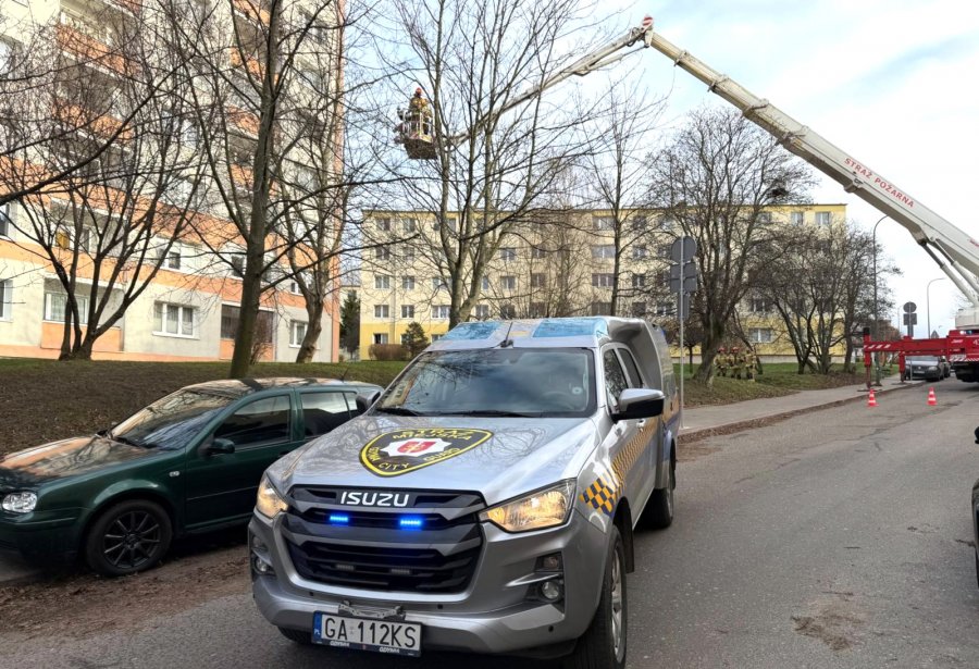 Wysięgnik na tle nieba