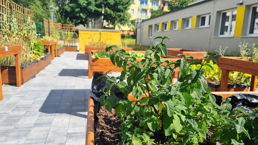 Ogród społeczny przy Domu Sąsiedzkim w Przystani Chylońska 237 kwitnie // fot. Laboratorium Innowacji Społecznych