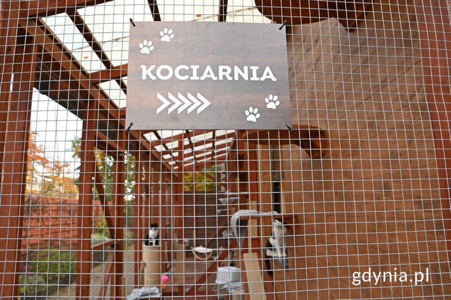 Kociarnia w „Ciapkowie” 