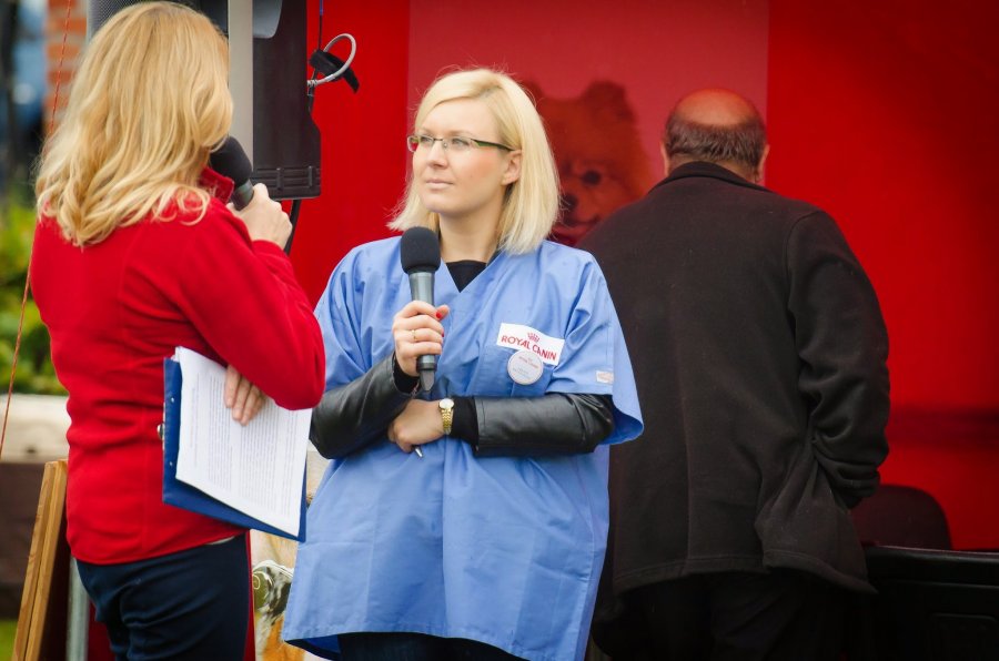 Psie Fikołki 11.10.2014