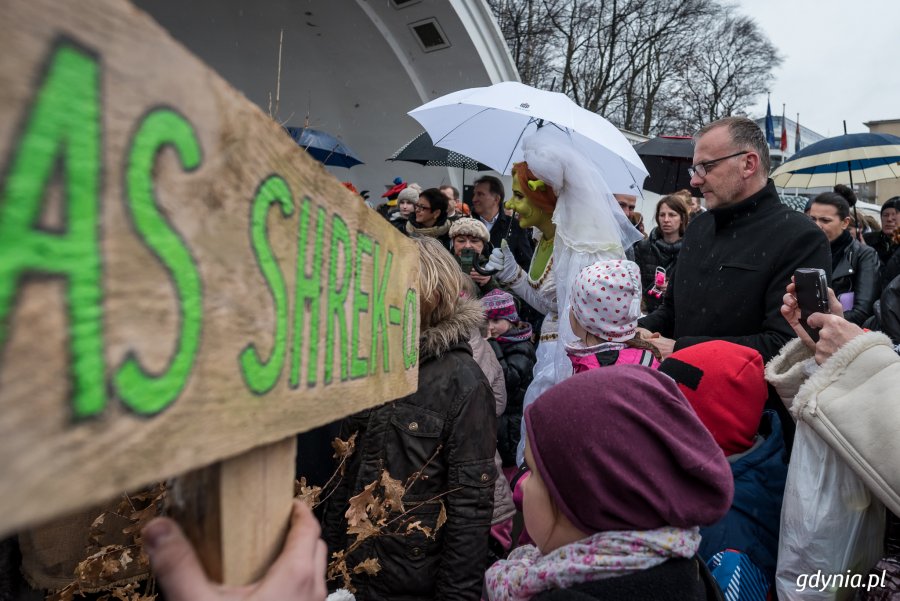 Sadzenie drzew na Kamiennej Górze 