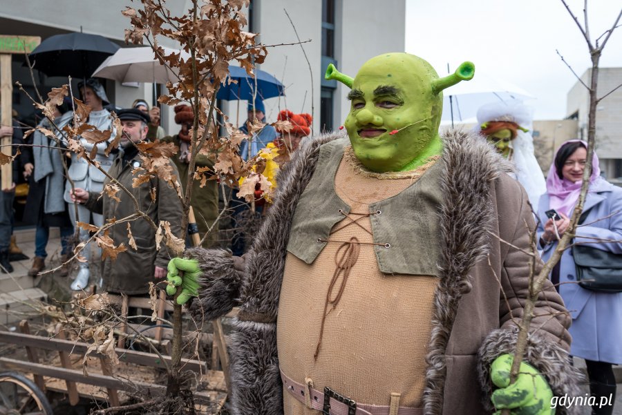 Sadzenie drzew na Kamiennej Górze 