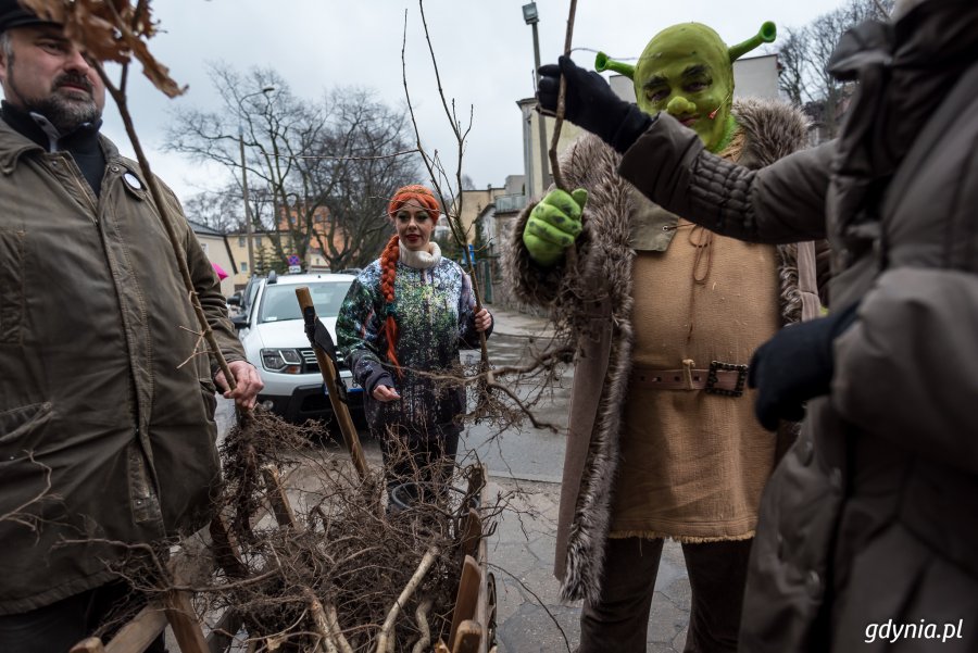 Sadzenie drzew na Kamiennej Górze 