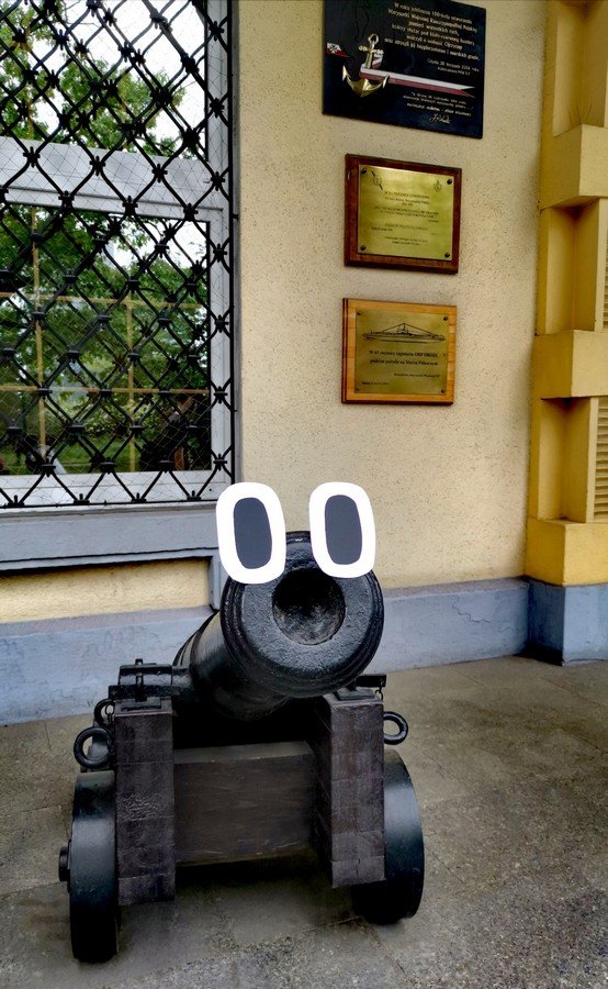 Praca konkursowa "Radosna armatka", autor: Natalia Zaleśny