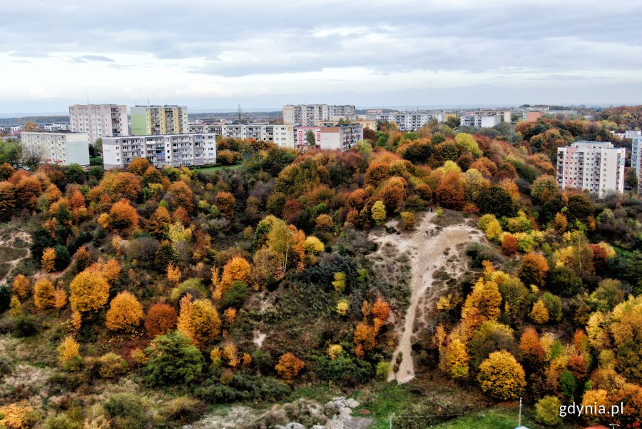 Pogórze w jesiennych barwach // fot. Michał Puszczewicz