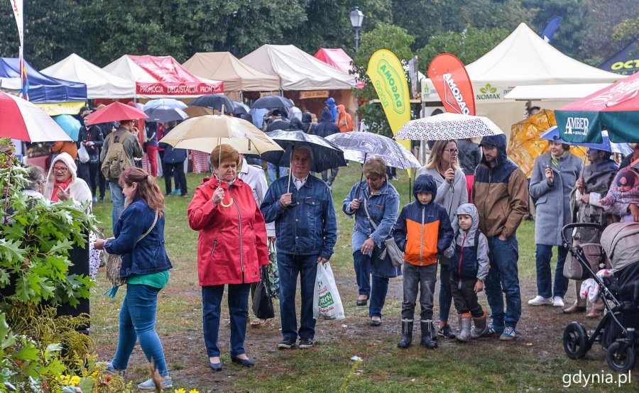 Piknik i targi „Dary Ziemi” w Gdyni // fot. Przemek Świderski