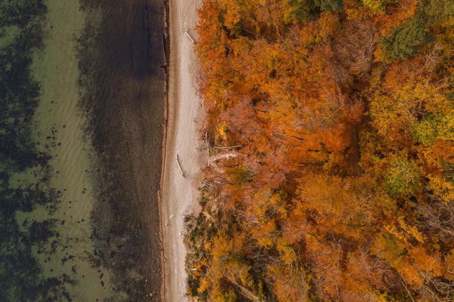 Plaża w Orłowie // fot. Karol Stańczak 