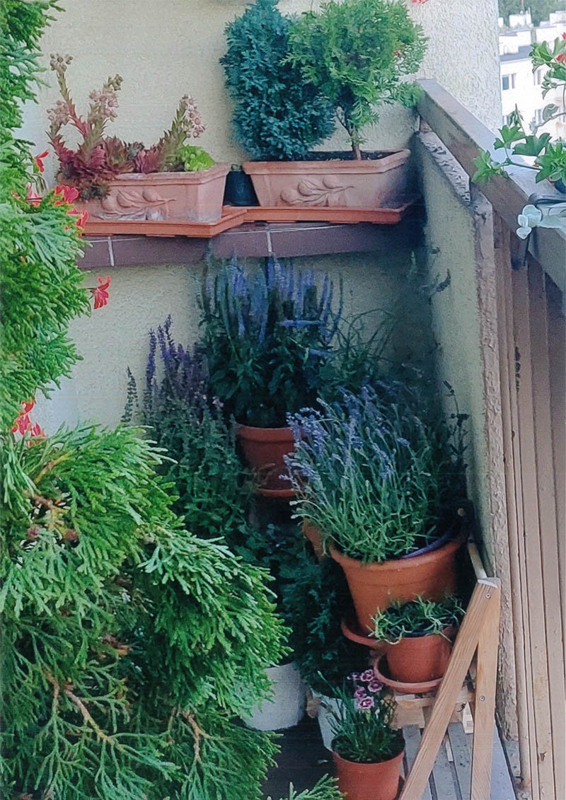 balkon z donicami z ziołami