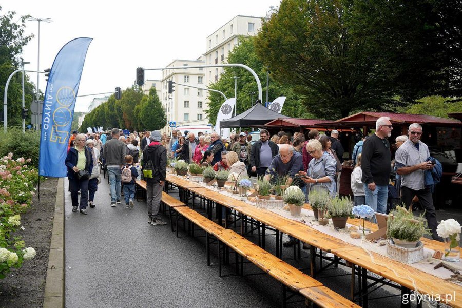 Gdynia świętuje. W Alei Marszałka J. Piłsudskiego stoi 600-metrowy urodzinowy st&oacute;ł (fot. Mirosław Pieślak) 