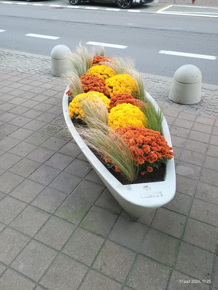 Kwiaty w centrum
