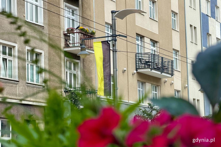 Flaga kaszubska na jednym z gdyńskich budynk&oacute;w