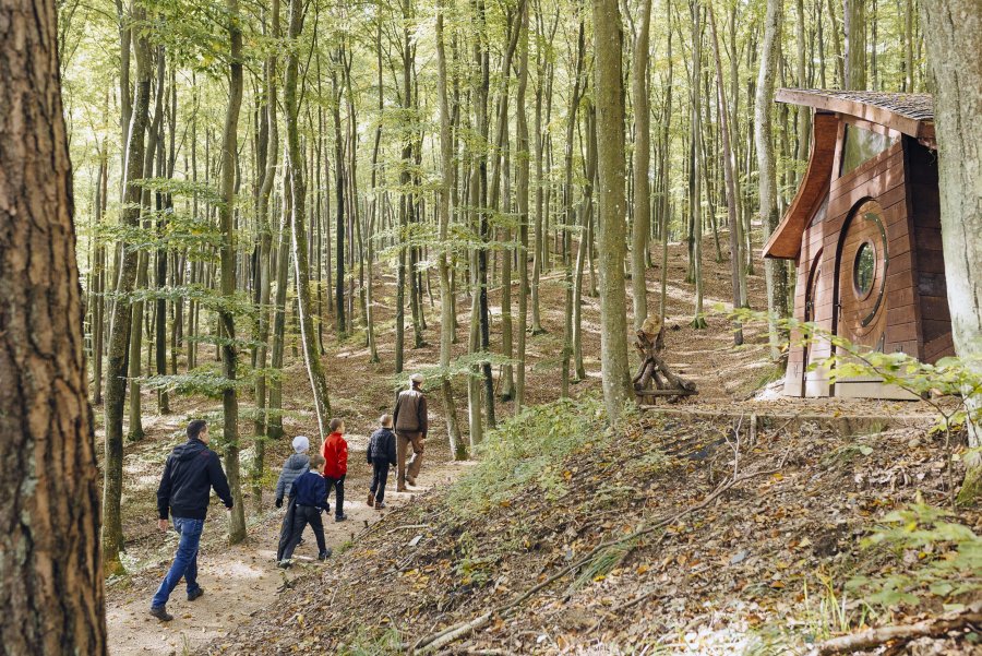 Leśny Ogród Botaniczny Marszewo - Szlak Alicji